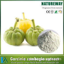 Competitive price Garcinia cambogia for weight loss